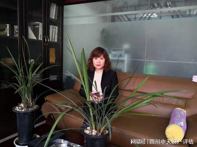 杏彩体育,企业整体资产评估:评估的资产类型及资料清单(二)